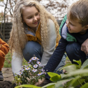 Cultivando el futuro y los increíbles beneficios de los huertos en los colegios